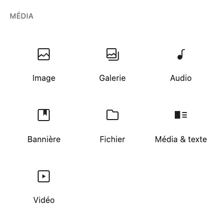 Aperçu des blocs médias Gutenberg