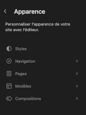 Menu Apparence FSE avec Styles, Navigation, Pages, Modèles et Compositions